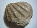 Unknown  Spain. Uploaded by Granotius